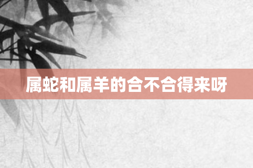 属蛇和属羊的合不合得来呀