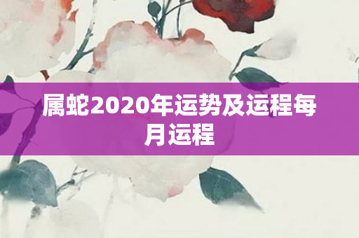 属蛇2020年运势及运程每月运程