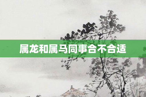 属龙和属马同事合不合适