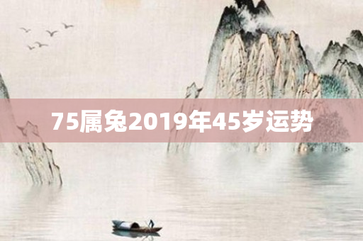 75属兔2019年45岁运势