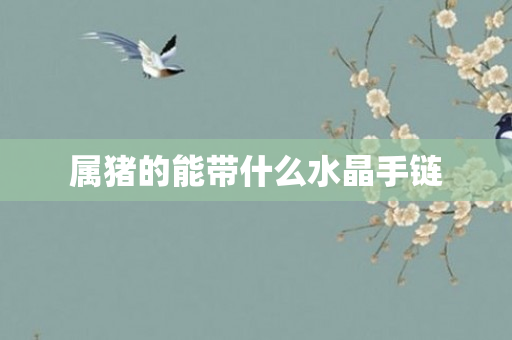 属猪的能带什么水晶手链