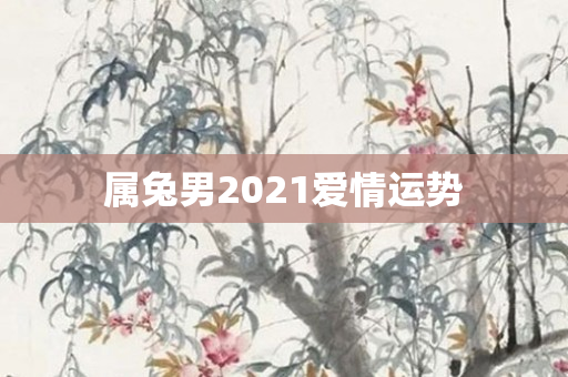 属兔男2021爱情运势