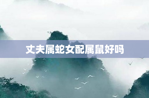 丈夫属蛇女配属鼠好吗