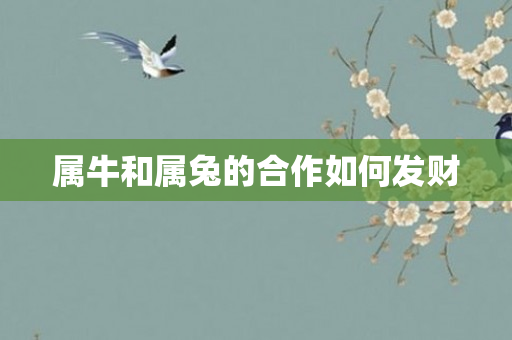 属牛和属兔的合作如何发财