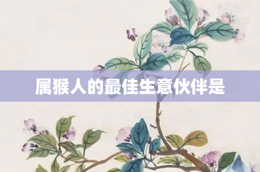 属猴人的更佳生意伙伴是