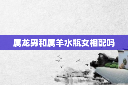 属龙男和属羊水瓶女相配吗