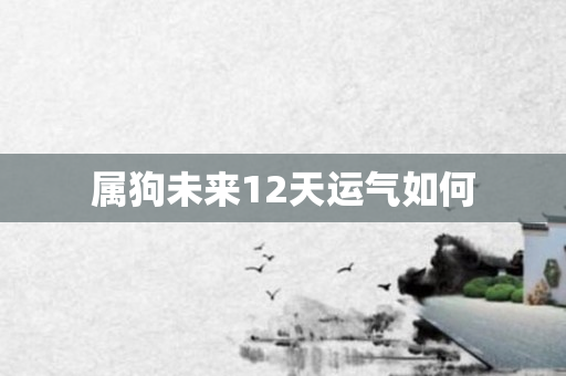 属狗未来12天运气如何