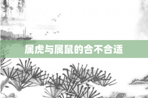 属虎与属鼠的合不合适