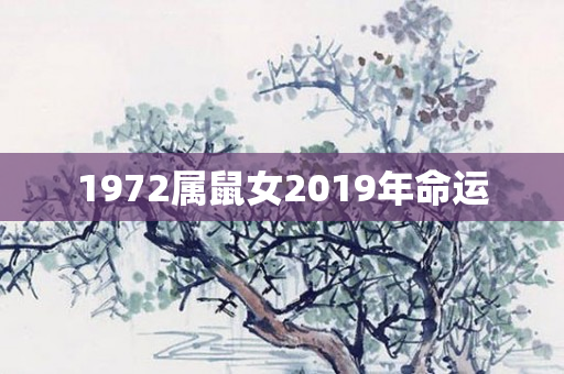 1972属鼠女2019年命运