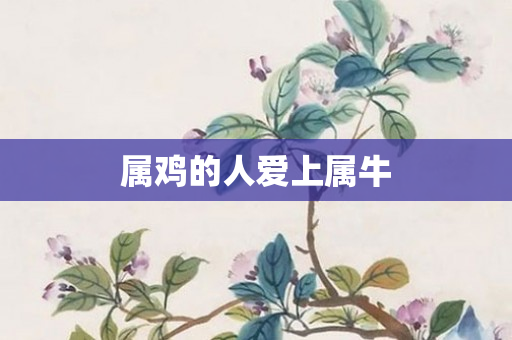 属鸡的人爱上属牛