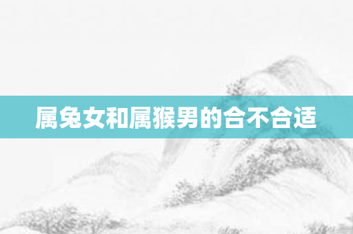 属兔女和属猴男的合不合适