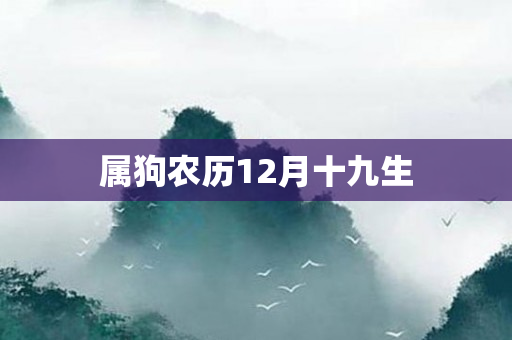 属狗农历12月十九生