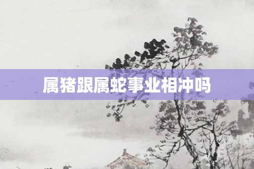 属猪跟属蛇事业相冲吗