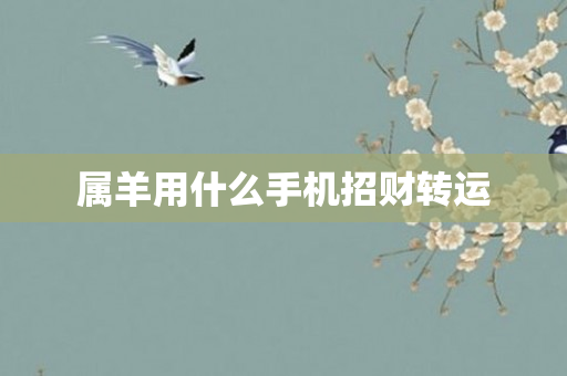 属羊用什么手机招财转运