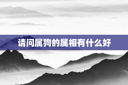 请问属狗的属相有什么好