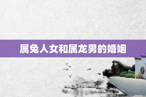 属兔人女和属龙男的婚姻