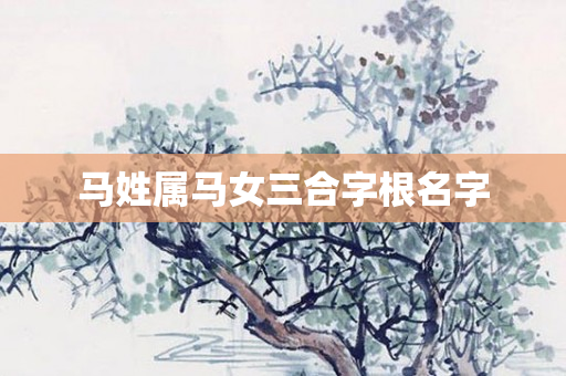 马姓属马女三合字根名字