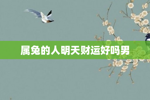 属兔的人明天财运好吗男