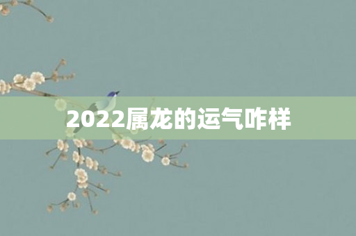2022属龙的运气咋样