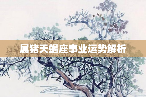属猪天蝎座事业运势解析
