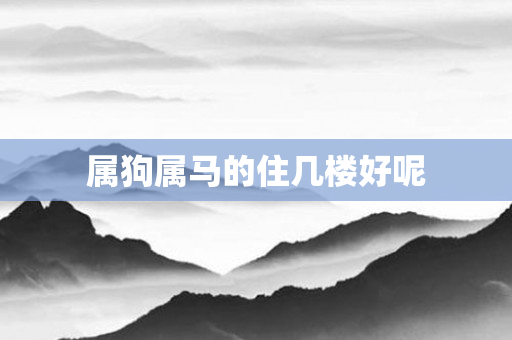 属狗属马的住几楼好呢