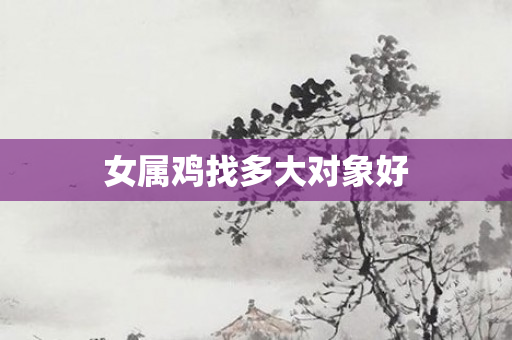 女属鸡找多大对象好