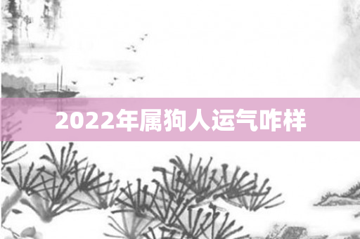2022年属狗人运气咋样