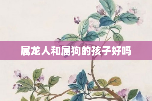 属龙人和属狗的孩子好吗