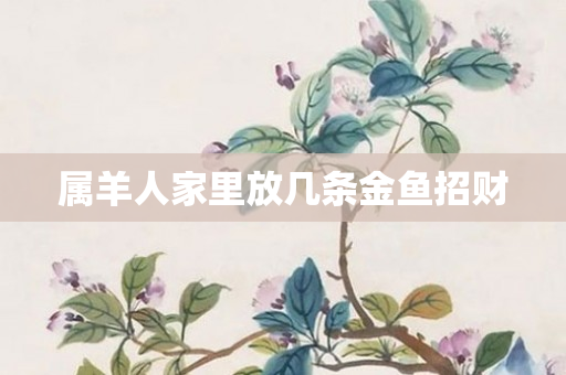 属羊人家里放几条金鱼招财
