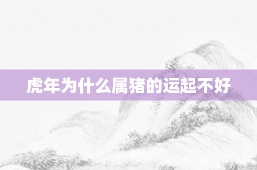 虎年为什么属猪的运起不好