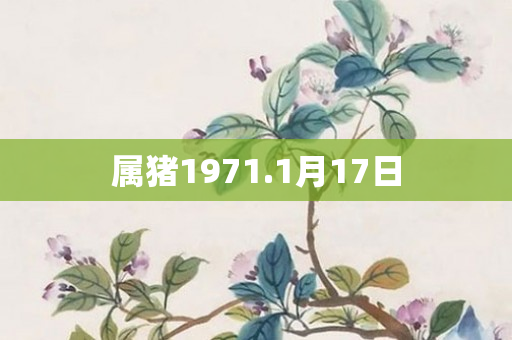 属猪1971.1月17日