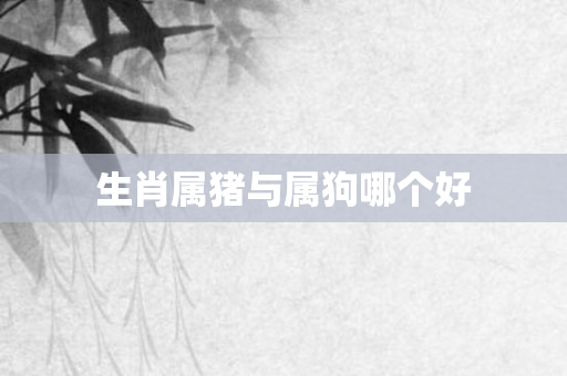 生肖属猪与属狗哪个好