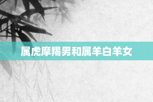 属虎摩羯男和属羊白羊女