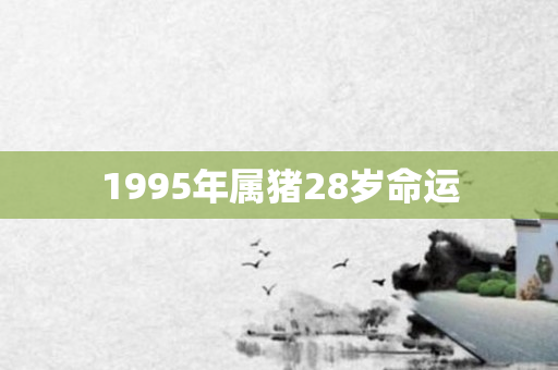 1995年属猪28岁命运