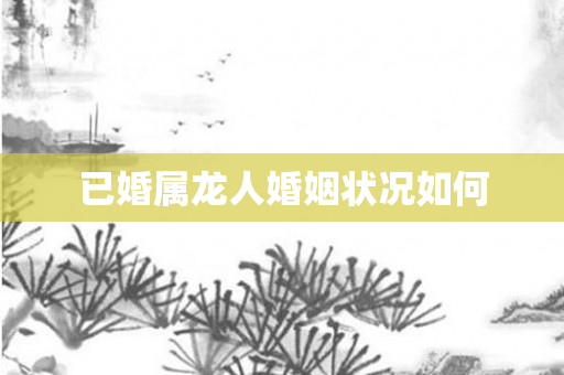 已婚属龙人婚姻状况如何