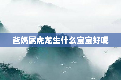爸妈属虎龙生什么宝宝好呢