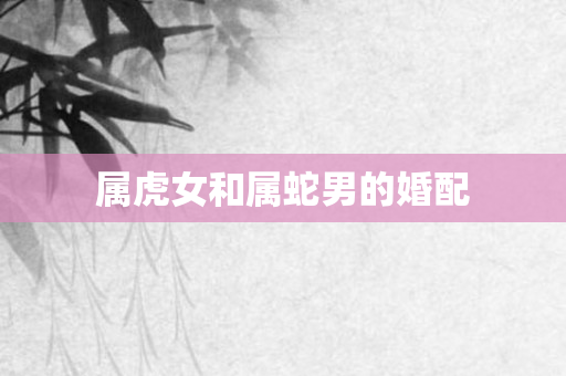 属虎女和属蛇男的婚配