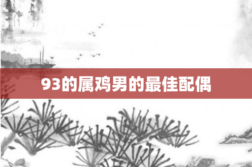 93的属鸡男的更佳配偶