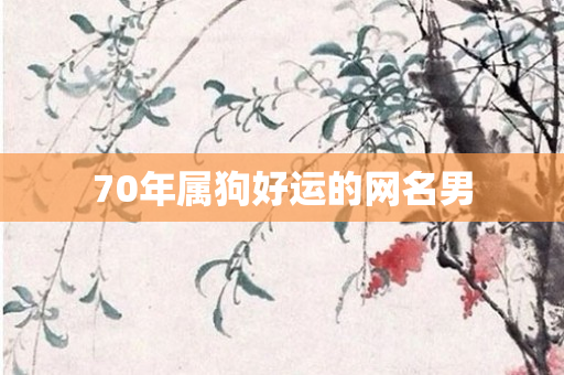 70年属狗好运的网名男