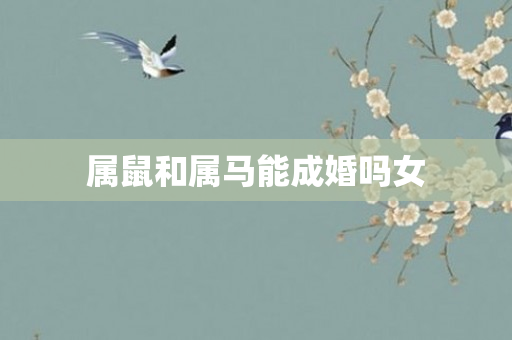 属鼠和属马能成婚吗女