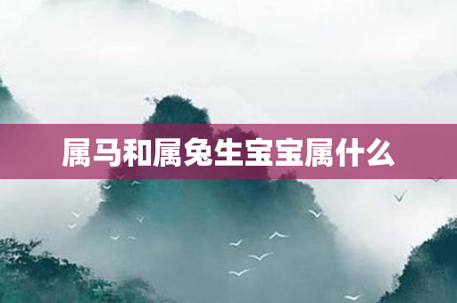 属马和属兔生宝宝属什么