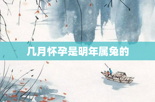 几月怀孕是明年属兔的