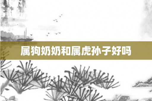 属狗奶奶和属虎孙子好吗