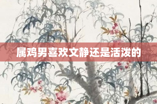属鸡男喜欢文静还是活泼的