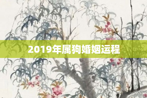 2019年属狗婚姻运程