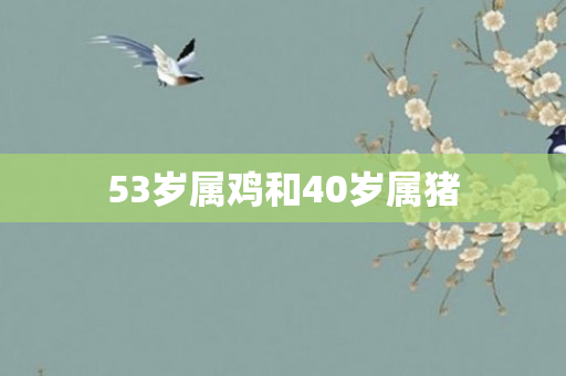 53岁属鸡和40岁属猪
