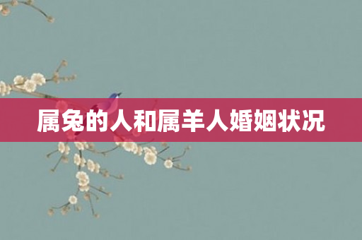 属兔的人和属羊人婚姻状况