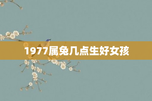 1977属兔几点生好女孩