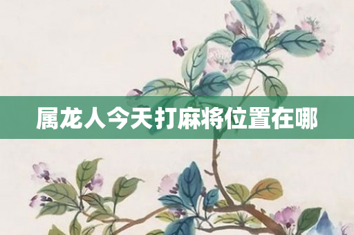 属龙人今天打麻将位置在哪
