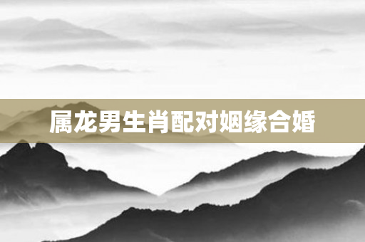 属龙男生肖配对姻缘合婚